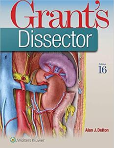 Anatomy Interactive Guide: Superior Mediastinum